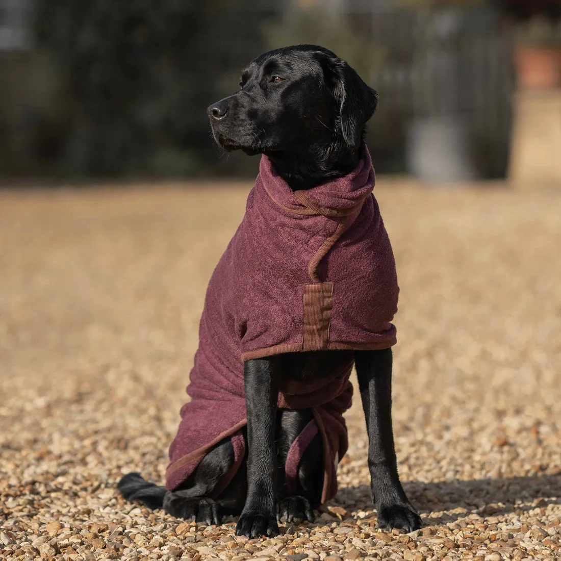 Country dog drying coat Burgundy M/L